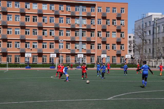 往事不堪回首！哈兰德职业生涯前16场比赛0球0助